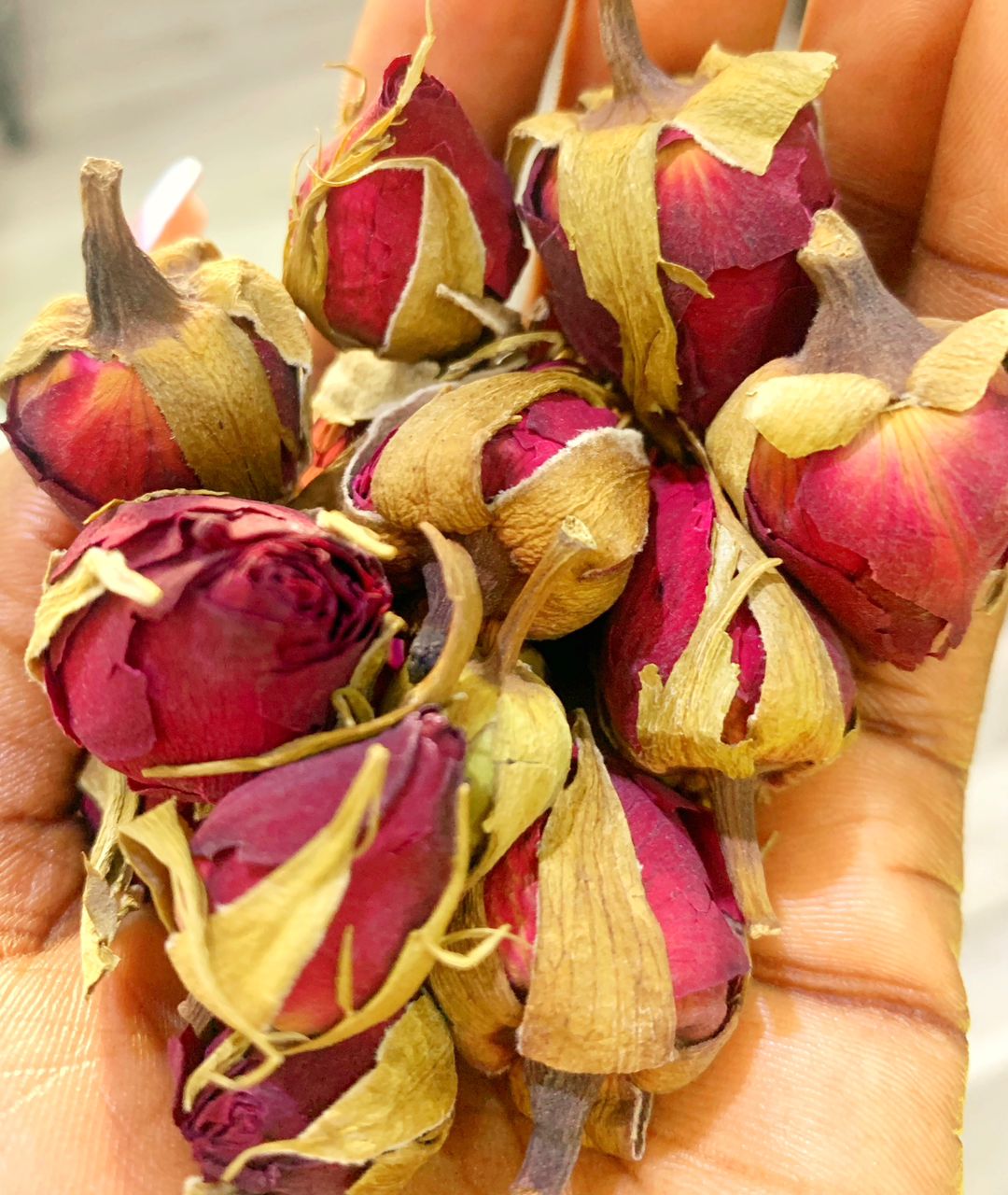 ROSE BUDS (BIG)