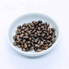 CASTOR SEED