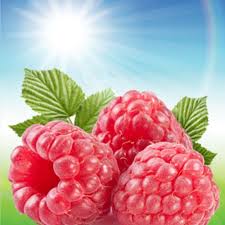 FRESH RASPBERRY FRAGRANCE (NATURE GARDEN)