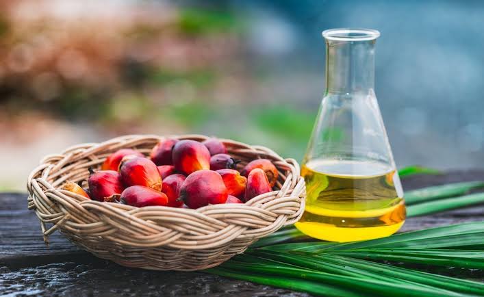 PALM KERNEL OIL (COLD PRESSED)