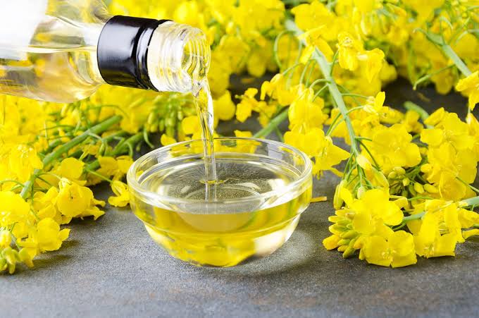 CANOLA OIL