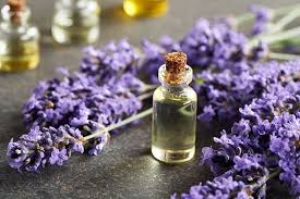 LAVENDER ESSENTIAL OIL