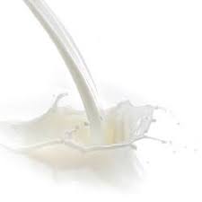 MILK FRAGRANCE