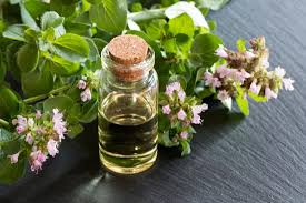 OREGANO ESSENTIAL OIL