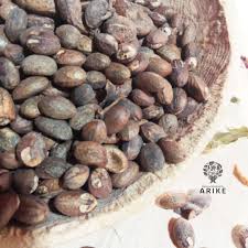 MIRACLE SEED