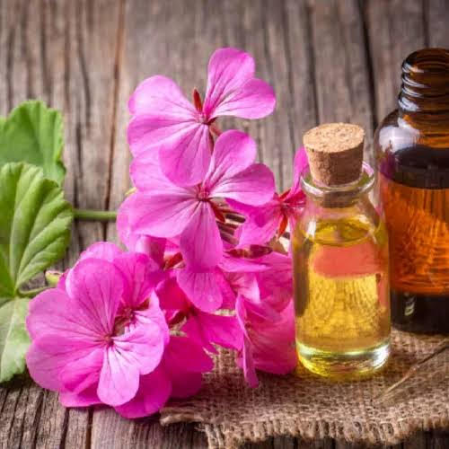 GERANIUM ESSENTIAL OIL
