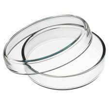 GLASS PETRI DISH