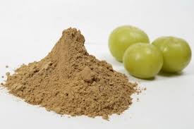 AMLA EXTRACT POWDER