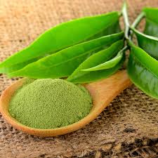 MATCHA GREEN TEA POWDER