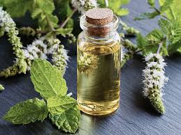 PEPPERMINT ESSENTIAL OIL