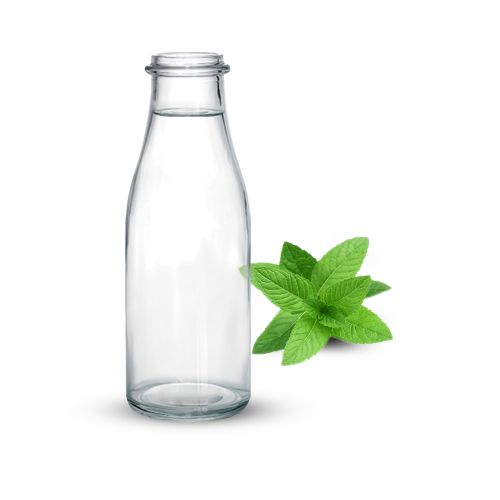 PEPPERMINTS HYDROSOL 