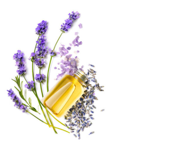 LAVENDER OIL