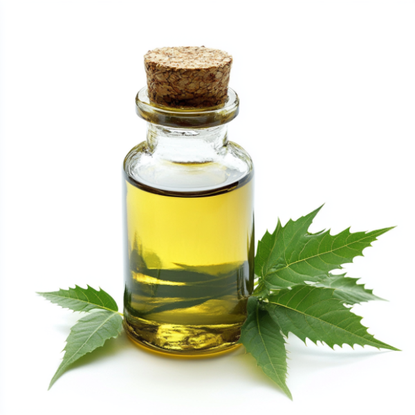 NEEM EXTRACT OIL