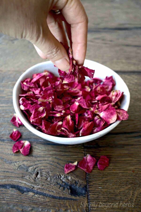 ROSE PETALS
