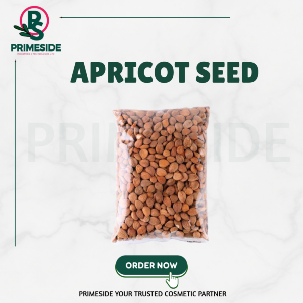 APRICOT SEED