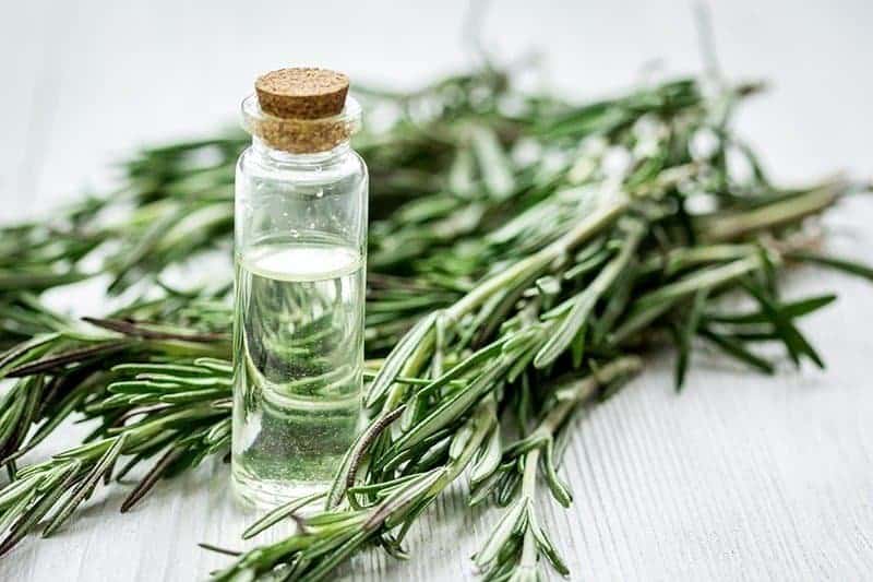 ROSEMARY ESSENTIAL OIL